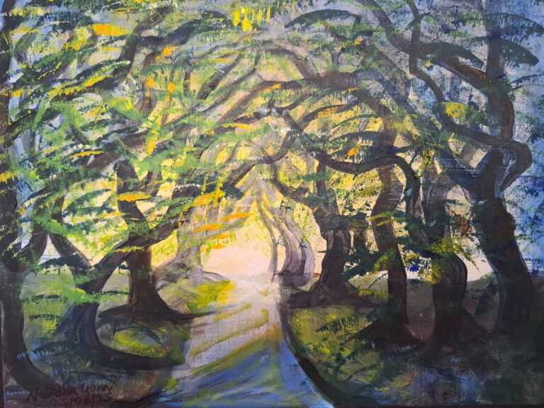 Whatsapp image 2025 07 09 at 14.48.36